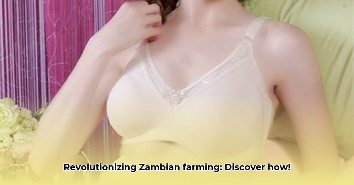 icare-zambia
